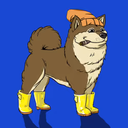 Kennel on Ape #5378