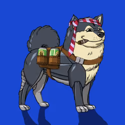 Kennel on Ape #4981
