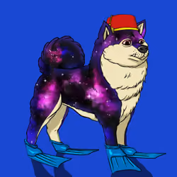 Kennel on Ape #7695