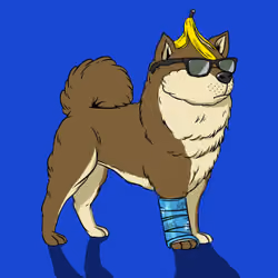 Kennel on Ape #2385