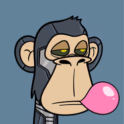 251