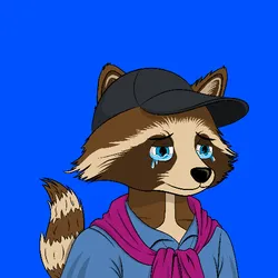 Aped Raccons #6013