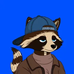 Aped Raccons #9208