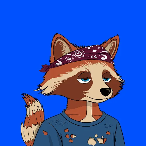 Aped Raccons #6282