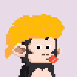 Monkey #578