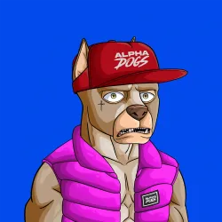 ALPHA DOGS ON APE #1631