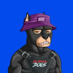 ALPHA DOGS ON APE #1303