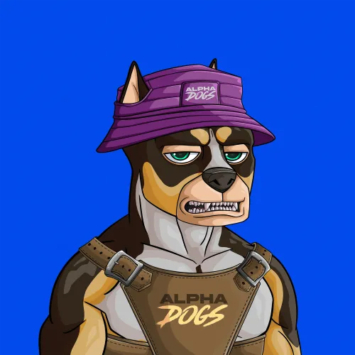 ALPHA DOGS ON APE #1271