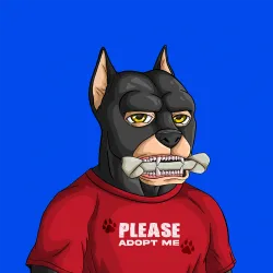 ALPHA DOGS ON APE #984