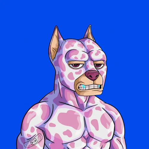 ALPHA DOGS ON APE #74