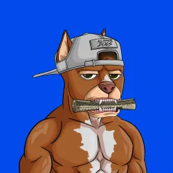 ALPHA DOGS ON APE #208