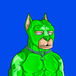ALPHA DOGS ON APE #213