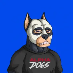 ALPHA DOGS ON APE #2124