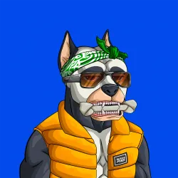 ALPHA DOGS ON APE #2008