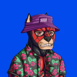 ALPHA DOGS ON APE #493
