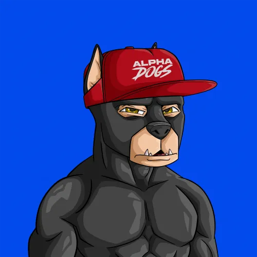 ALPHA DOGS ON APE #867