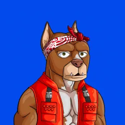 ALPHA DOGS ON APE #2174