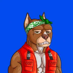 ALPHA DOGS ON APE #1172