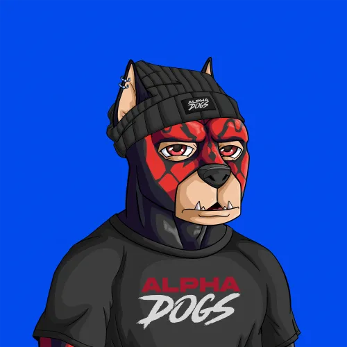 ALPHA DOGS ON APE #1848