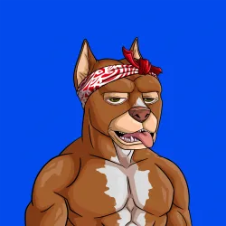 ALPHA DOGS ON APE #2024
