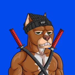 ALPHA DOGS ON APE #498