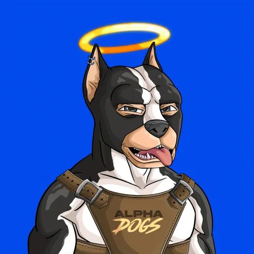 ALPHA DOGS ON APE #1660