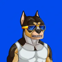 ALPHA DOGS ON APE #43