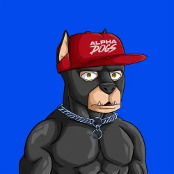 ALPHA DOGS ON APE #2099