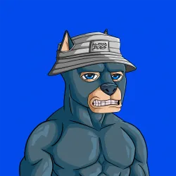 ALPHA DOGS ON APE #1101