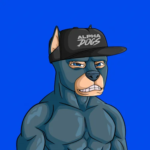 ALPHA DOGS ON APE #244