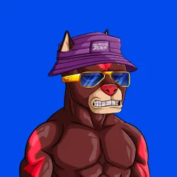 ALPHA DOGS ON APE #2075