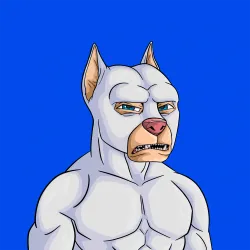 ALPHA DOGS ON APE #560