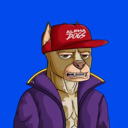 ALPHA DOGS ON APE #2183