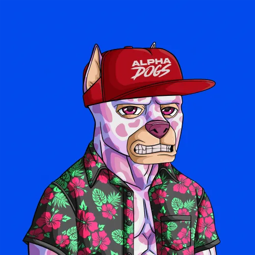 ALPHA DOGS ON APE #1407