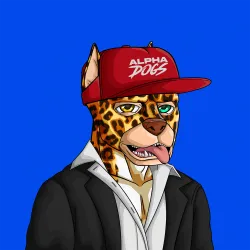 ALPHA DOGS ON APE #2072