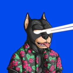 ALPHA DOGS ON APE #1687