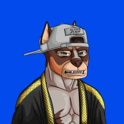 ALPHA DOGS ON APE #2078