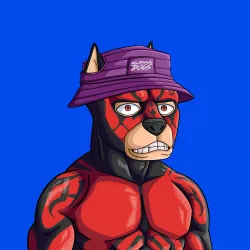 ALPHA DOGS ON APE #2016