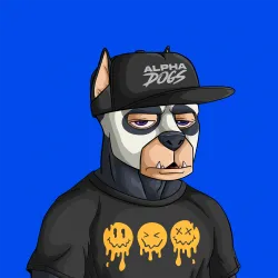 ALPHA DOGS ON APE #2212
