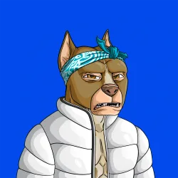 ALPHA DOGS ON APE #986