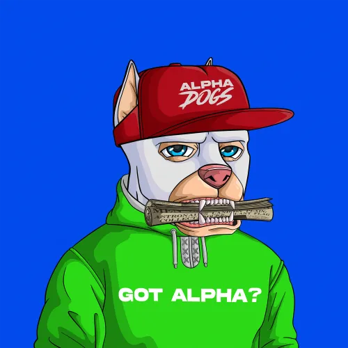 ALPHA DOGS ON APE #476