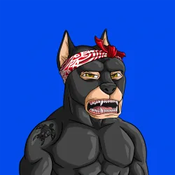 ALPHA DOGS ON APE #1360