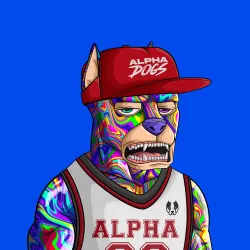 ALPHA DOGS ON APE #496