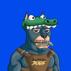 ALPHA DOGS ON APE #2164