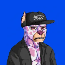 ALPHA DOGS ON APE #2219