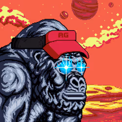 APE GORILLA #953