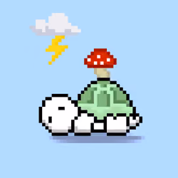 Turtle Moons #2613