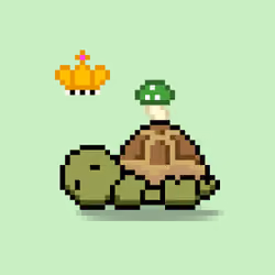 Turtle Moons #2619
