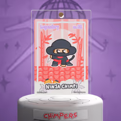Ninja Chimpi