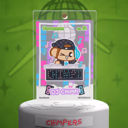 DJ Chimpi